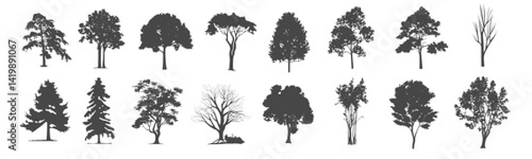 Fototapeta Set of trees simple and realistic black fill branch and twig plant forest SVG. transparent background illustration.