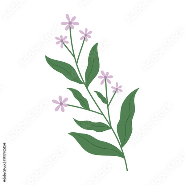 Fototapeta Flat floral and leaf vector set with soft colors and simple shapes