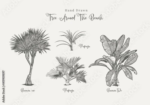 Obraz Hand Drawn Tropical Trees Around the Beach Illustration