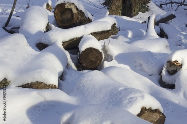 Fototapeta Snow Covered logs