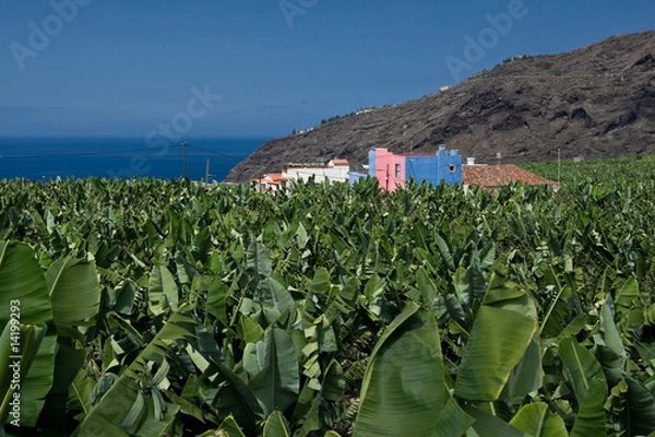Obraz La Palma Tazacorte