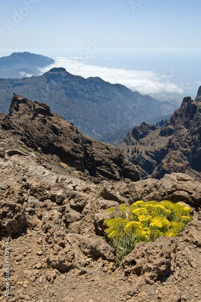 Obraz La Palma Roque de los Muchachos