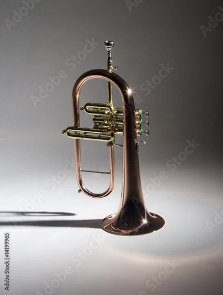 Obraz Fluegelhorn 1