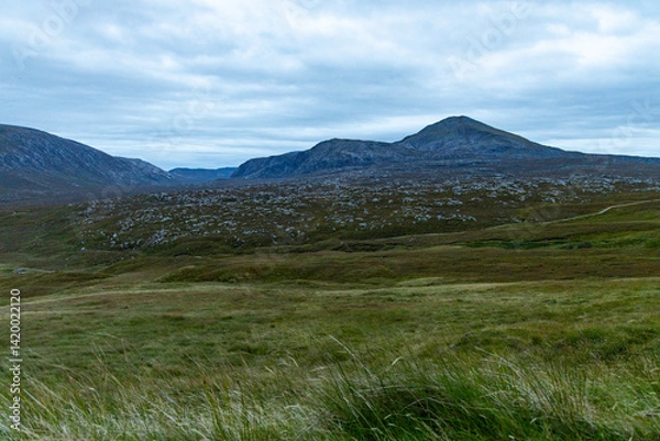Fototapeta Winding through the Scottish Highlands, the road unveils green pastures, roaming wildlife, and vast unspoiled landscapes. A journey through raw beauty, freedom, silence,nature, timeless wilderness.