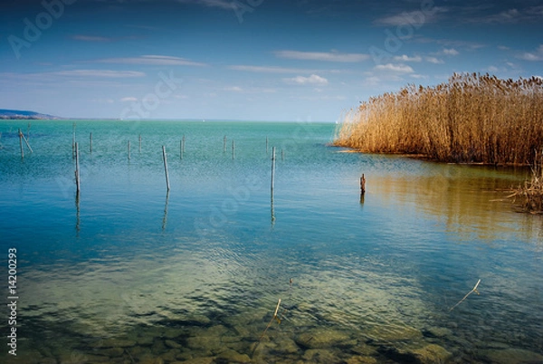 Obraz Blue landscape