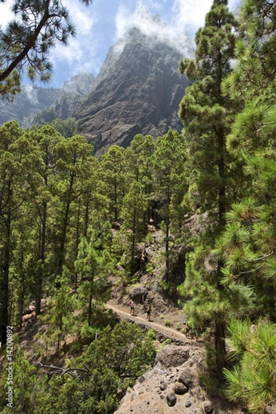 Obraz La Palma Caldera de Taburiente