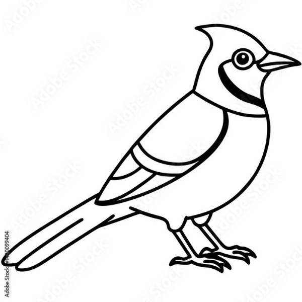 Fototapeta Sleek Jay A Single-Line Vector Design