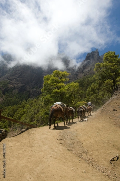 Obraz La Palma Caldera de taburiente