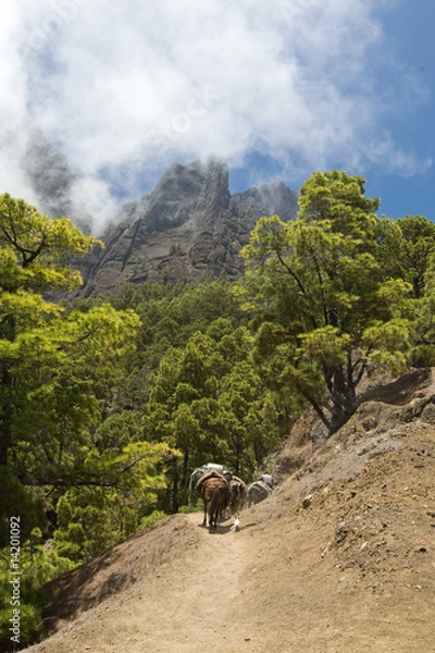 Obraz La Palma, Caldera de taburiente