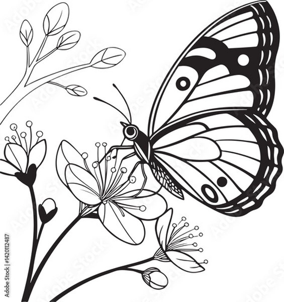 Obraz Butterfly vector art eps file
