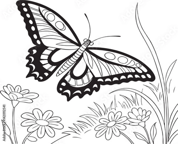 Obraz Butterfly vector art eps file