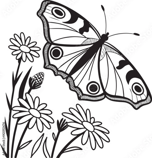 Obraz Butterfly vector art eps file