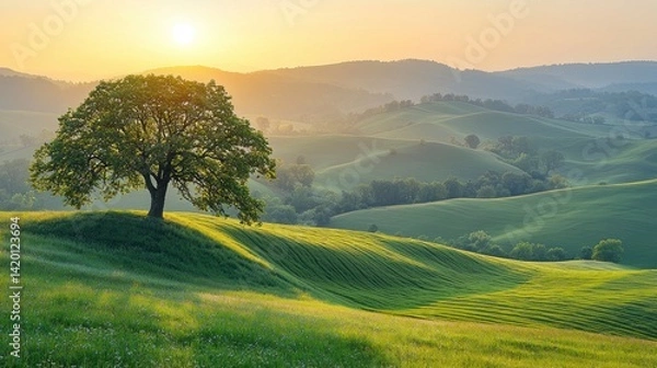 Fototapeta Scenic view of green hills with a tree, sun setting