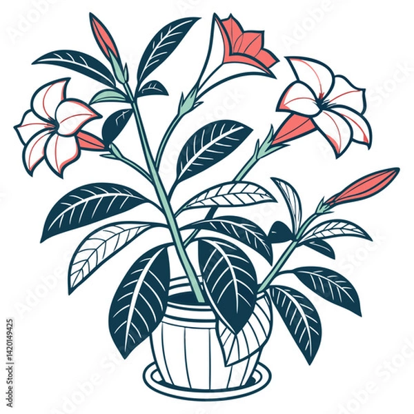 Fototapeta  Elegant Mandevilla Houseplant Illustration