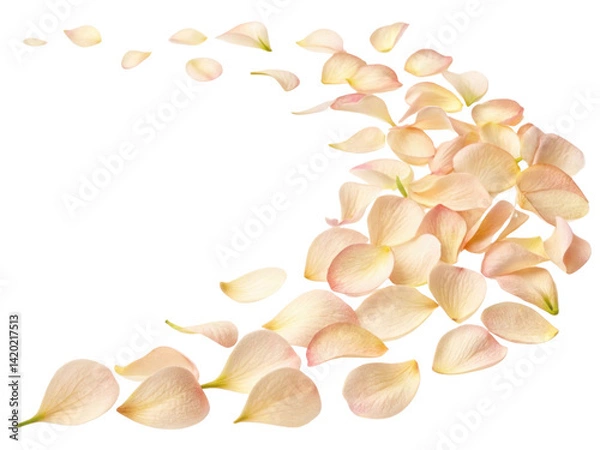 Fototapeta Soft and delicate petals create beautiful trail that evokes charm of nature and elegance of snapdragon flower