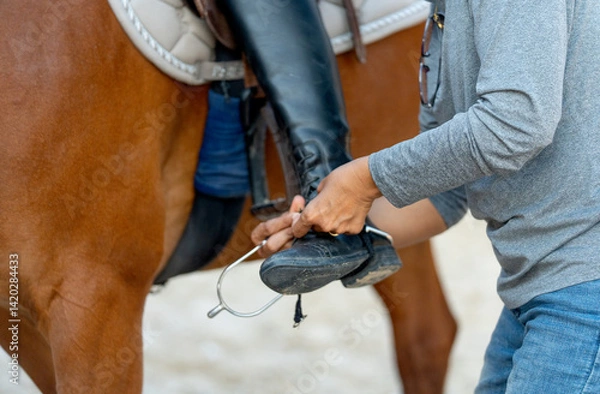 Fototapeta Close up hands of woman try to set loop of pedal for riding the horse during practice or train in the arena.