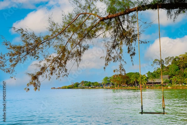Fototapeta Swing hang from  tree over tropial beach with blue sky