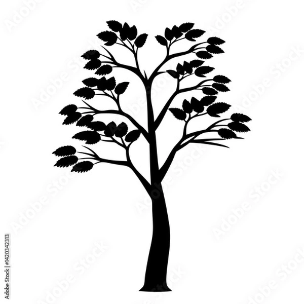 Fototapeta Silhouette of a tree with branches and leaves against white background