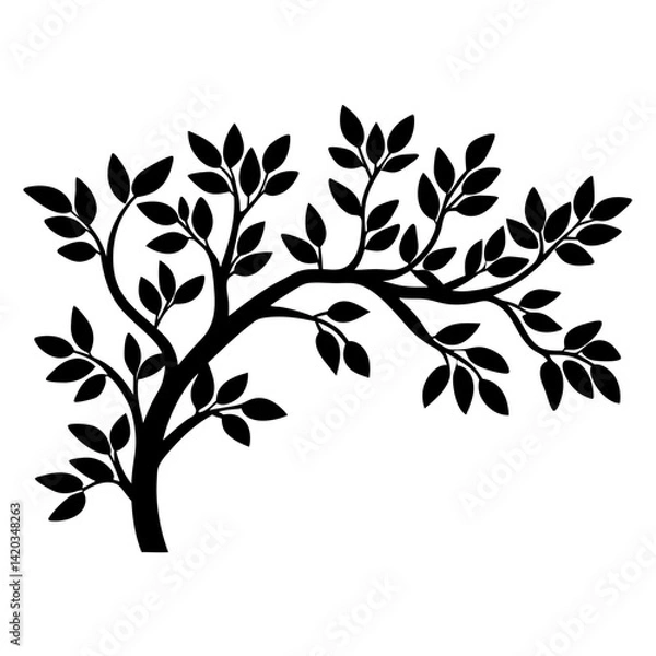 Fototapeta Silhouette of a deciduous tree with leaves in elegant black and white