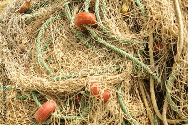 Obraz Tangled Craft – The Heart of the Coast