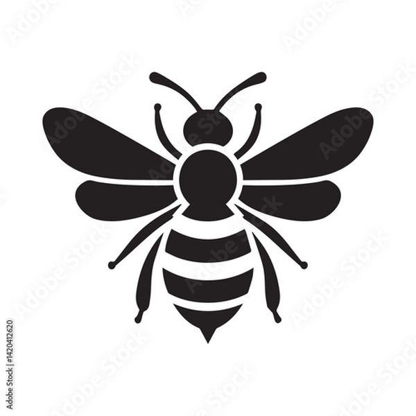 Obraz bee on white background