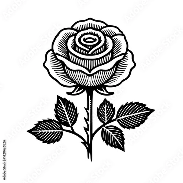 Obraz vector rose flower sketch engraving vector illustration. T-shirt apparel print design. Scratch board imitation. Black and white hand drawn image.
