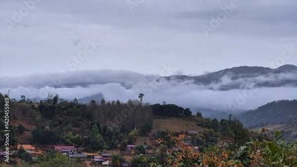 Fototapeta fog in the mountains