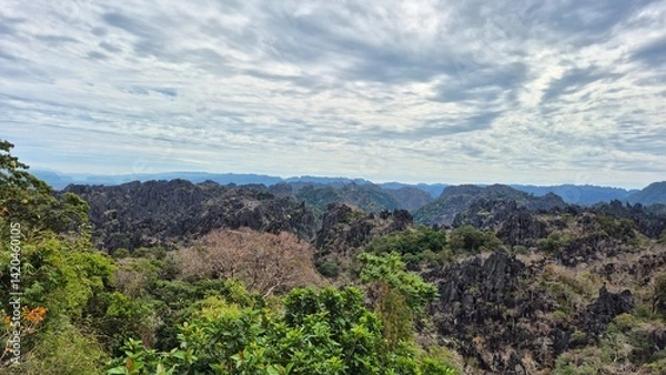 Fototapeta view of the mountains