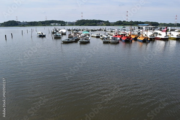 Obraz 手賀沼 千葉県北部の湖沼