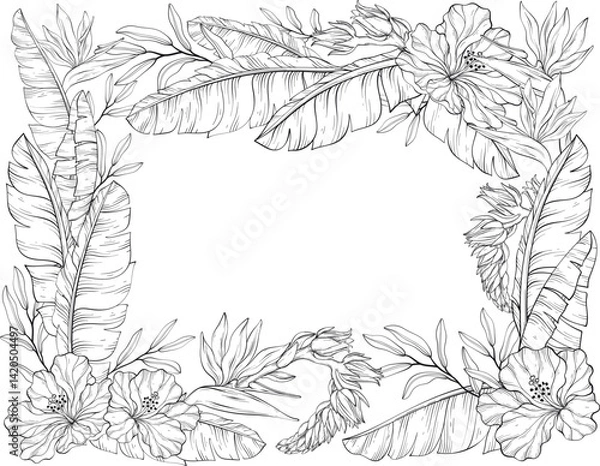 Obraz A vector line art illustration of a tropical floral frame featuring hibiscus flowers, bird of paradise blossoms, and lush banana leaves on a white background