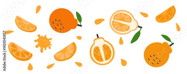 Obraz Juicy hallabong korean citrus fruit vector collection. Perfect for stickers, poster, label, sale, card. Hand drawn illustration isolated on a white background.