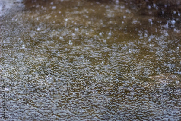 Fototapeta Raindrops on the surface of the puddle. Abstract background.