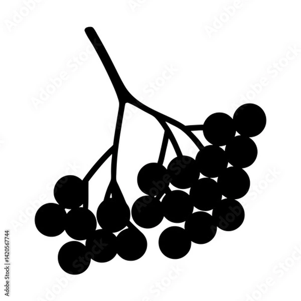 Fototapeta elderberry fruit minimalist silhouette vector icon - for graphic design projects elderberry, Modern Artwork.
