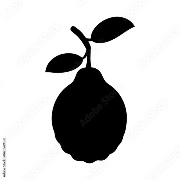 Fototapeta kaffir lime fruit minimalist silhouette vector icon - for graphic design projects kaffir lime, Modern Artwork.