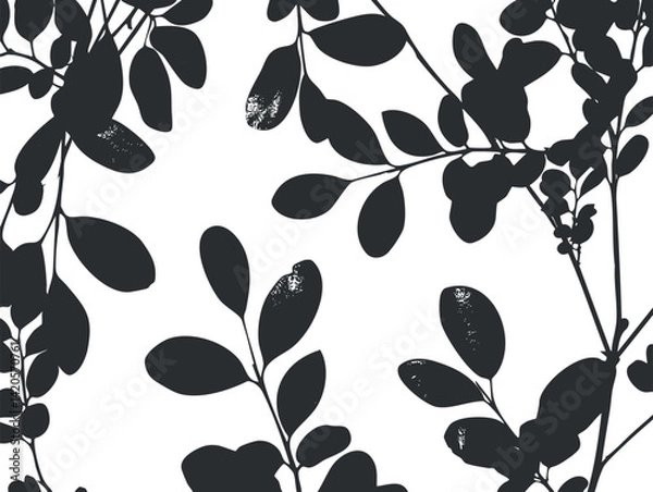 Fototapeta Black silhouette leaves pattern on a white background ideal for modern decor and design.