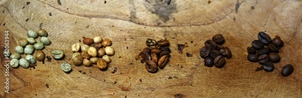 Fototapeta Coffee beans at various bean temperatures, from light roast to dark roast