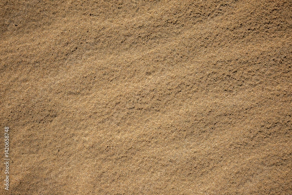 Fototapeta A photograph with sand texture, used as a background image.