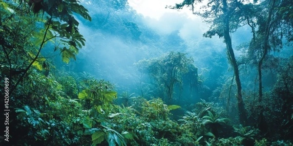 Fototapeta Lush, Misty Rainforest