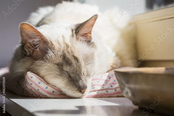 Obraz Endlich wieder Sonne