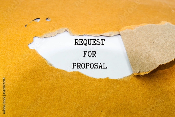 Obraz Request For Proposal 