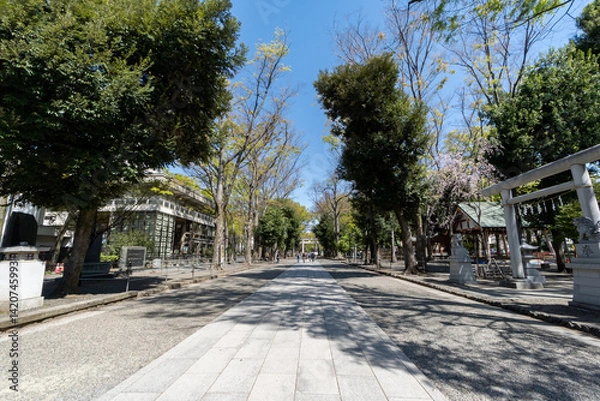 Fototapeta 大国魂神社　府中市　東京都