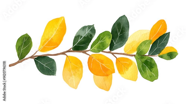 Fototapeta A branch with leaves that are orange and yellow isolated on a transparent background