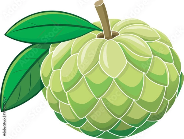 Obraz A vibrant vector illustration of a delicious custard apple, showcasing its juicy texture and tropical appeal in colorful, detailed artwork.