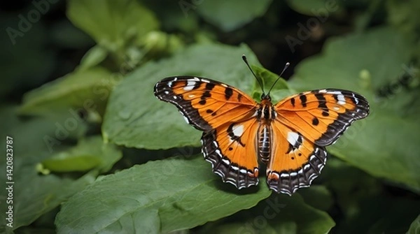 Fototapeta Orange and black common tiger butterfly.generative.ai