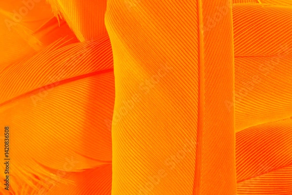 Obraz Orange feather phoenix texture pattern for hot background and other