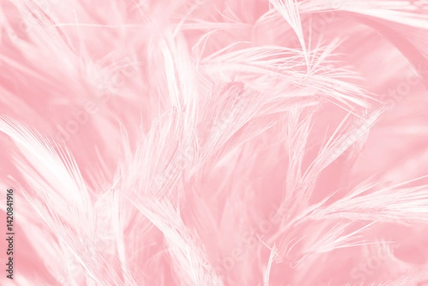 Obraz Beautiful abstract soft pink feather pattern texture background 