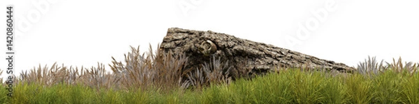 Fototapeta Timber on the evergreen grass field with isolated on transparent background - PNG file, 3D rendering illustration for create and design or etc