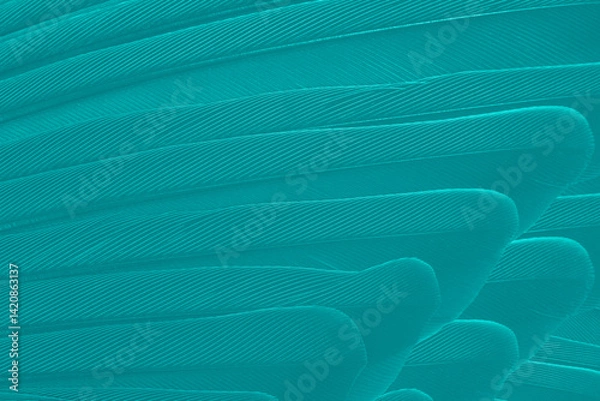 Obraz Beautiful dark green viridian vintage color trends feather texture background