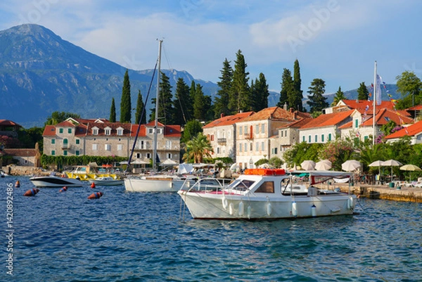 Fototapeta Village of Rose at the tip of the Luštica Peninsula on the eastern shore of the mouth of the bay of Kotor along the coast of the Adriatic Sea in Montenegro