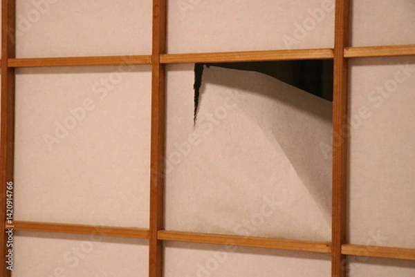 Obraz 破れた障子